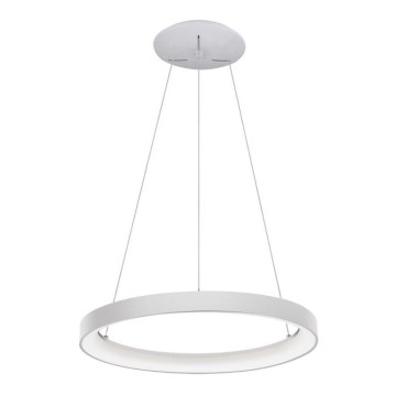 LED2 - LED Chandelier on a string BELLA LED/48W/230V 3000K/4000K white