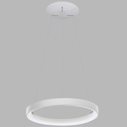 LED2 - LED Chandelier on a string BELLA LED/48W/230V 3000K/4000K white