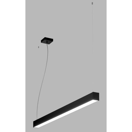 LED2 - LED Chandelier on a string NOLI LED/40W/230V 3000K/3500K/4000K black