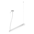 LED2 - LED Chandelier on a string NOLI LED/40W/230V 3000K/3500K/4000K white