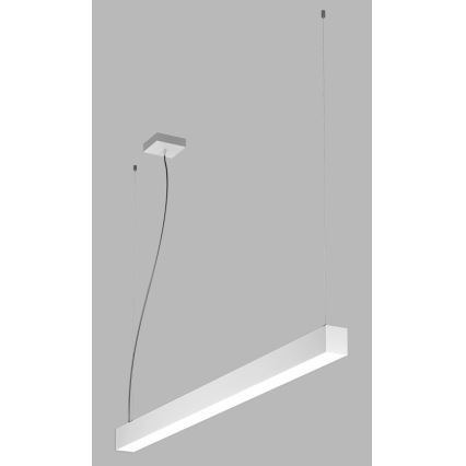 LED2 - LED Chandelier on a string NOLI LED/40W/230V 3000K/3500K/4000K white