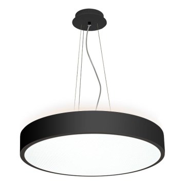 LED2 - LED Chandelier on a string ROTO LED/48W/230V 2700K/3300K/4000K IP40 black d. 40 cm