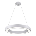 LED2 - LED Chandelier on a string SATURN LED/50W/230V 3000K d. 60 cm white