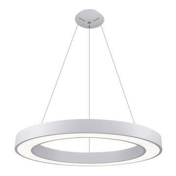 LED2 - LED Chandelier on a string SATURN LED/80W/230V 3000K d. 80 cm white