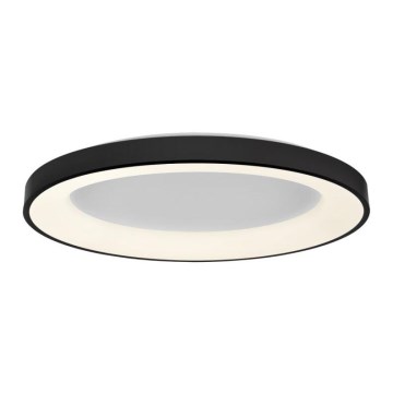 LED2 - LED Dimmable ceiling light BELLA LED/80W/230V 3000K/4000K black