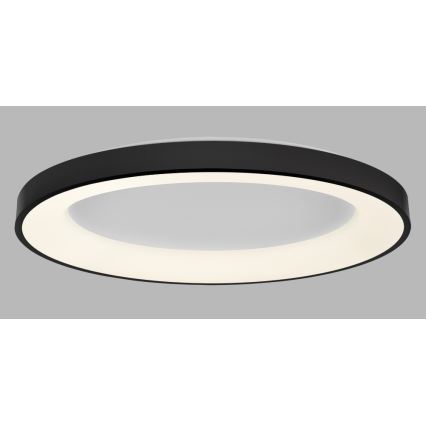 LED2 - LED Dimmable ceiling light BELLA LED/80W/230V 3000K/4000K black