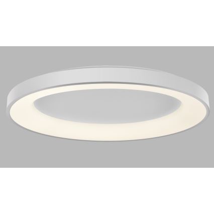 LED2 - LED Dimmable ceiling light BELLA LED/80W/230V 3000K/4000K white