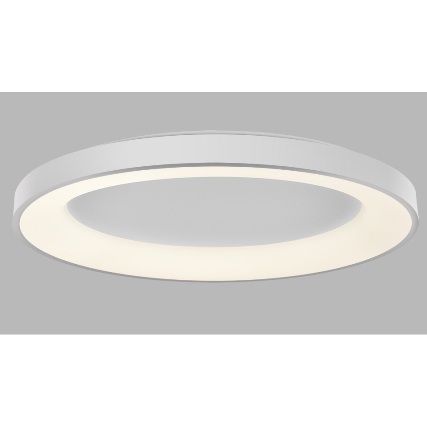 LED2 - LED Dimmable ceiling light BELLA LED/80W/230V 3000K/4000K white