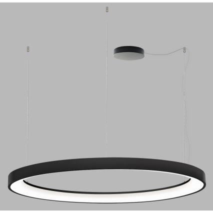LED2 - LED Dimmable chandelier on a string BELLA LED/80W/230V 3000K/4000K black
