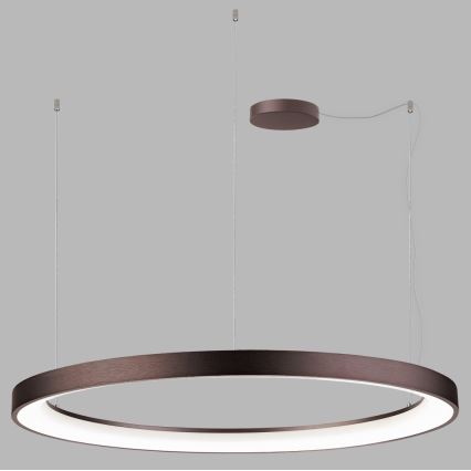 LED2 - LED Dimmable chandelier on a string BELLA LED/80W/230V 3000K/4000K brown