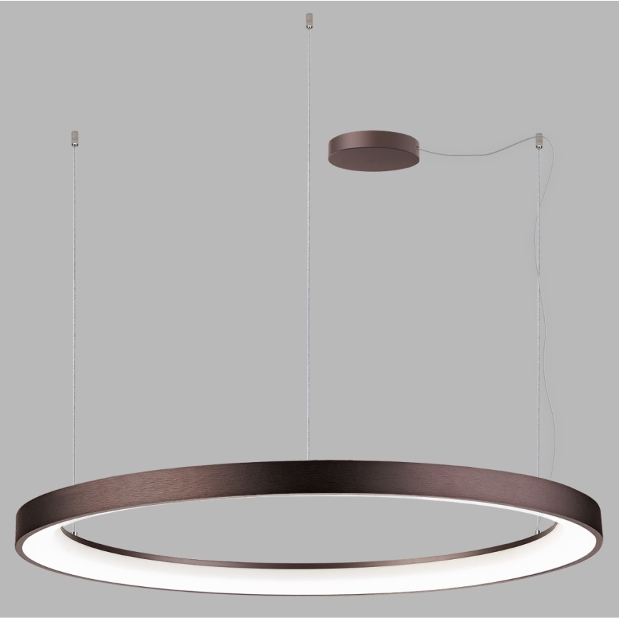 LED2 - LED Dimmable chandelier on a string BELLA LED/80W/230V 3000K/4000K brown