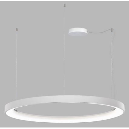 LED2 - LED Dimmable chandelier on a string BELLA LED/80W/230V 3000K/4000K white