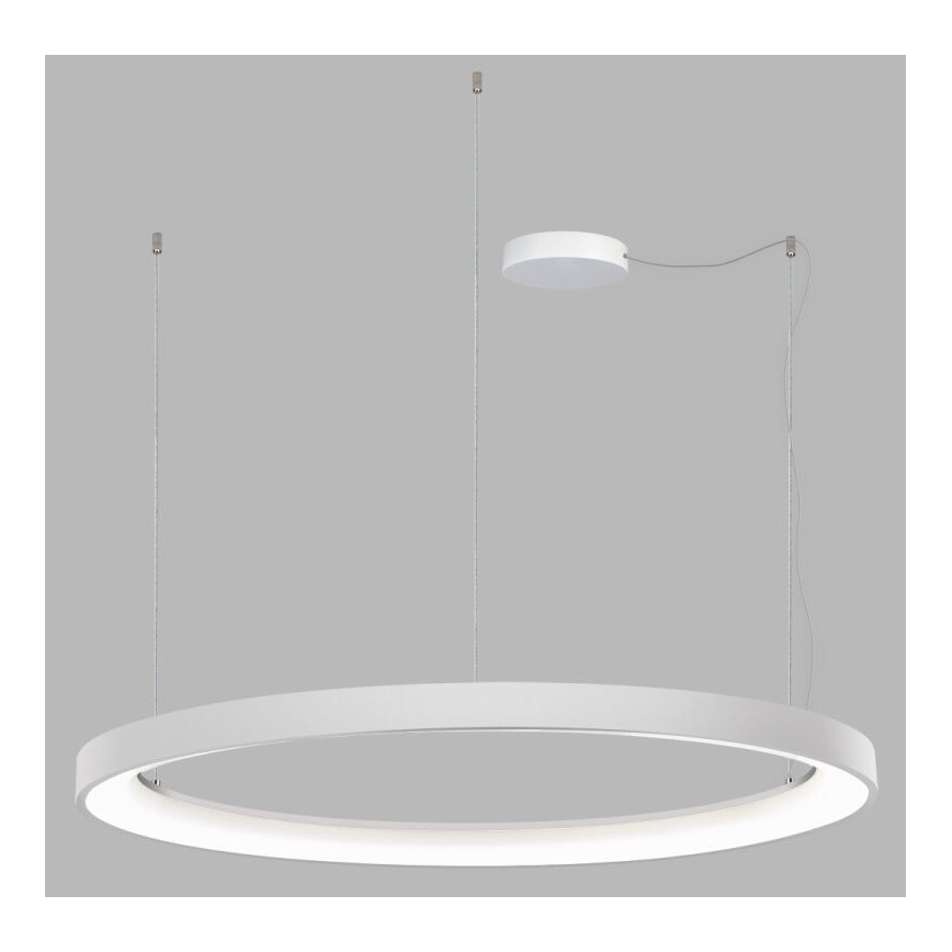 LED2 - LED Dimmable chandelier on a string BELLA LED/80W/230V 3000K/4000K white