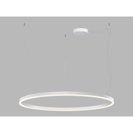 LED2 - LED Dimmable chandelier on a string CIRCLE LED/80W/230V 3000K/4000K d. 100 cm white