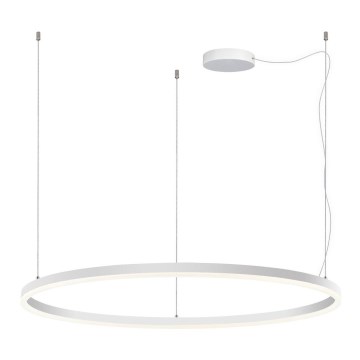 LED2 - LED Dimmable chandelier on a string CIRCLE LED/80W/230V 3000K/4000K d. 100 cm white