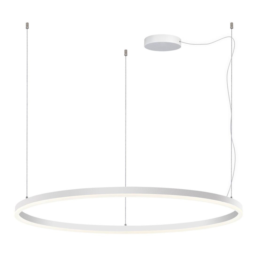 LED2 - LED Dimmable chandelier on a string CIRCLE LED/80W/230V 3000K/4000K d. 100 cm white