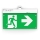 LED2 - LED Emergency light SAFE ALL LED/2W/3,6V 6000K IP40