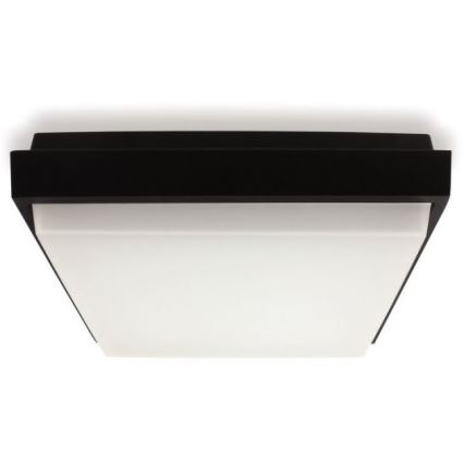 LED2 - LED Outdoor ceiling light QUADO LED/10W/230V anthracite IP54