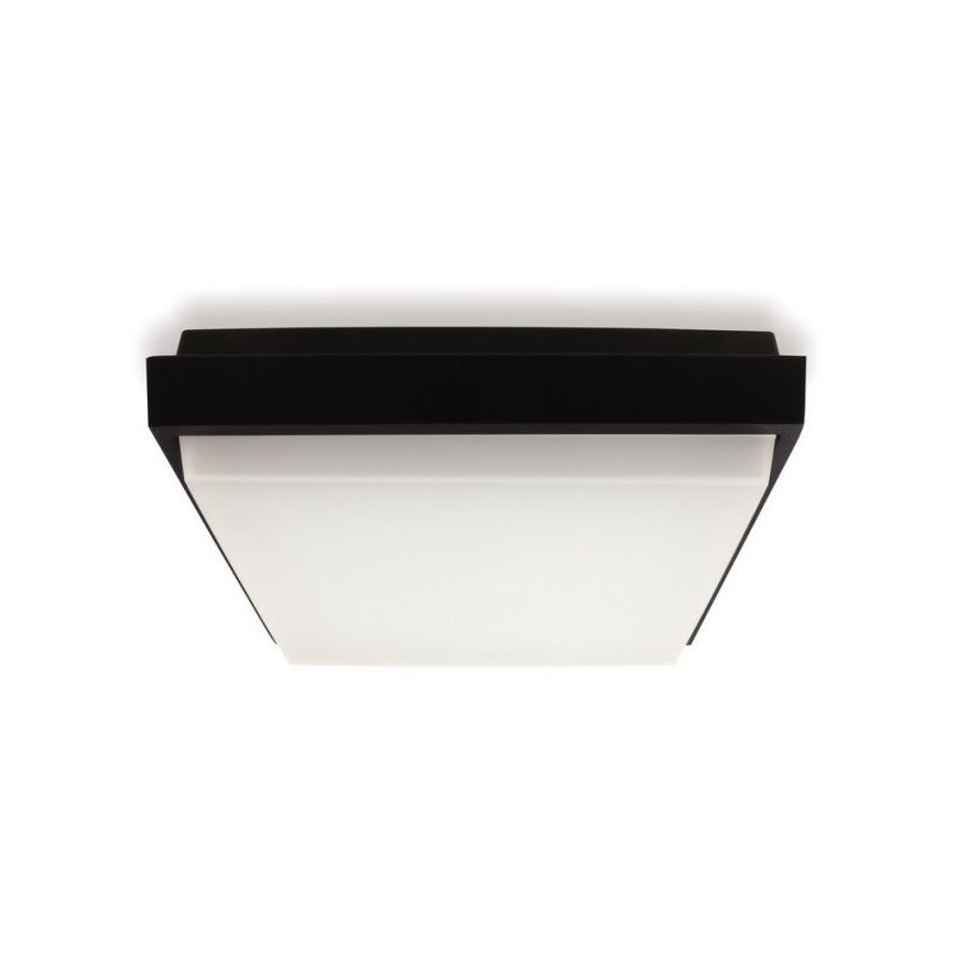 LED2 - LED Outdoor ceiling light QUADO LED/10W/230V anthracite IP54