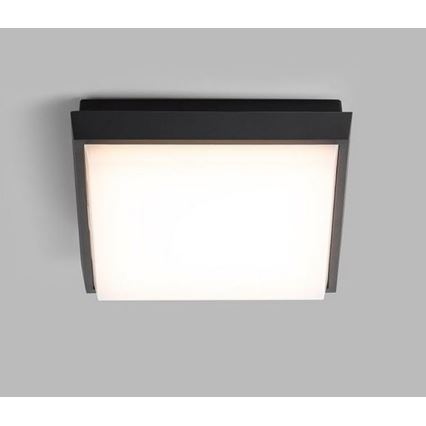 LED2 - LED Outdoor ceiling light QUADO LED/10W/230V anthracite IP54