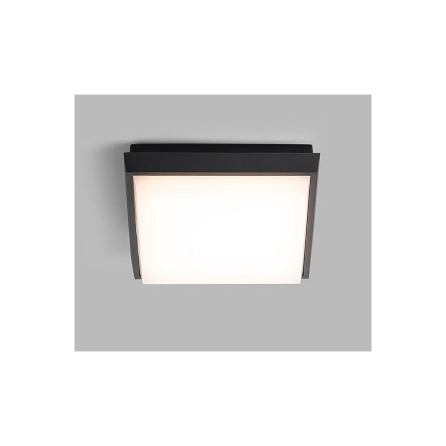 LED2 - LED Outdoor ceiling light QUADO LED/10W/230V anthracite IP54