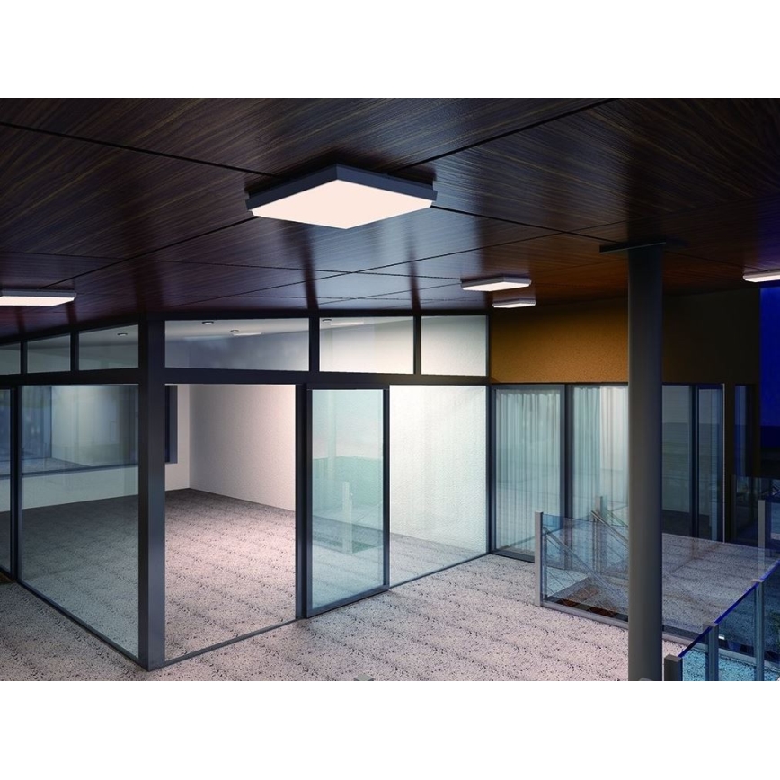 LED2 - LED Outdoor ceiling light QUADO LED/10W/230V anthracite IP54