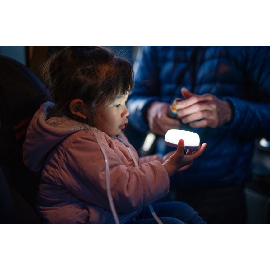 Ledlenser KIDCAMP6 DINO - Dimmable LED Portable Lamp LED/3xAAA IP44 Green