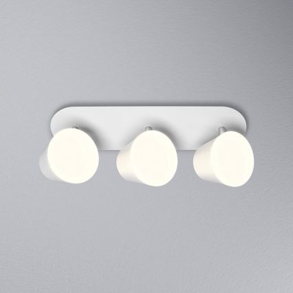 Ledvance - LED Bathroom spotlight SPOT 3xLED/7W/230V IP44 3000/4000K CRI 90 Ra
