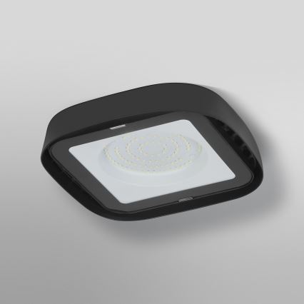 Ledvance - LED Ceiling heavy-duty light HIGHBAY LED/80W/230V IP65 6500K