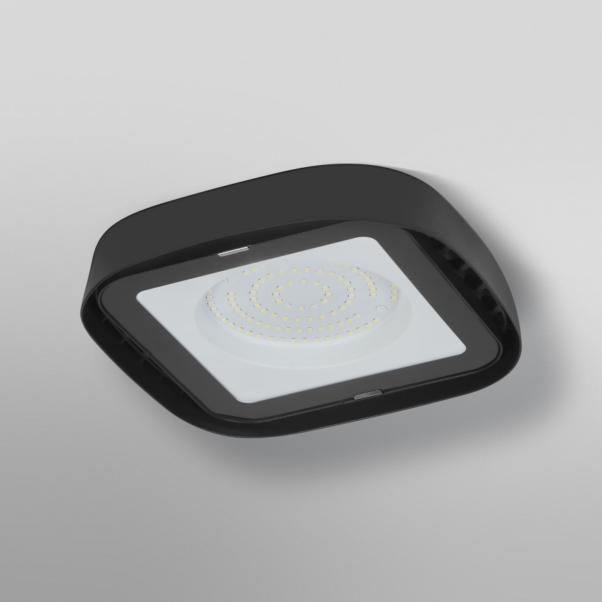 Ledvance - LED Ceiling heavy-duty light HIGHBAY LED/80W/230V IP65 6500K