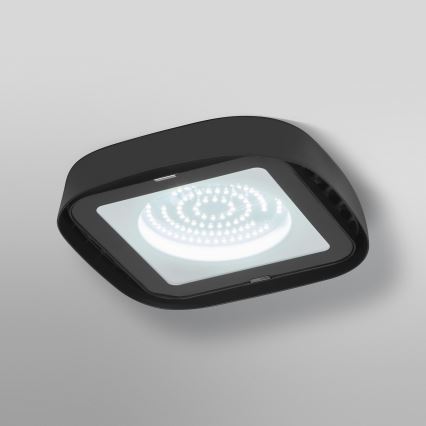 Ledvance - LED Ceiling heavy-duty light HIGHBAY LED/80W/230V IP65 6500K