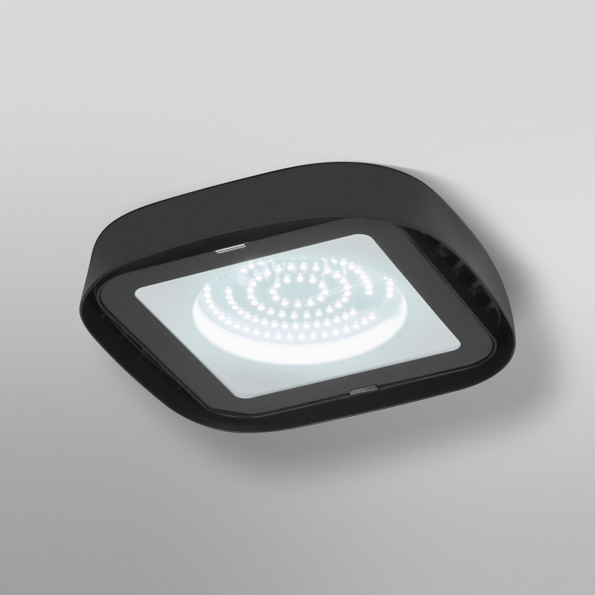 Ledvance - LED Ceiling heavy-duty light HIGHBAY LED/80W/230V IP65 6500K