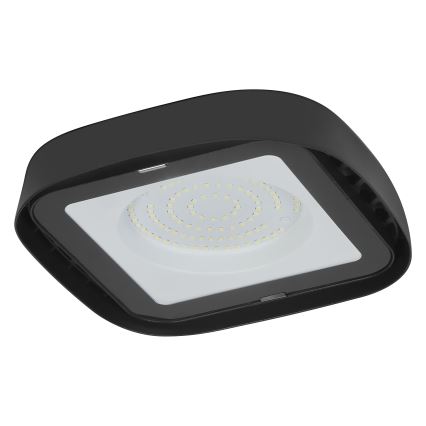 Ledvance - LED Ceiling heavy-duty light HIGHBAY LED/80W/230V IP65 6500K