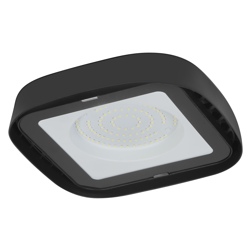 Ledvance - LED Ceiling heavy-duty light HIGHBAY LED/80W/230V IP65 6500K