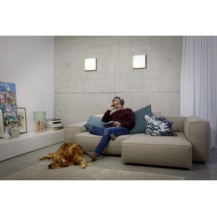 Ledvance - LED Ceiling light LUNIVE LED/14W/230V