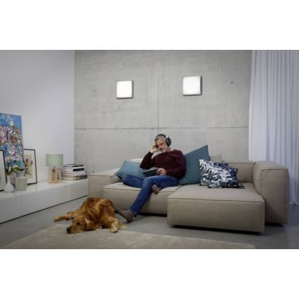Ledvance - LED Ceiling light LUNIVE LED/14W/230V