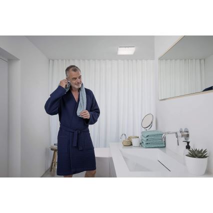 Ledvance - LED Ceiling light LUNIVE LED/19W/230V
