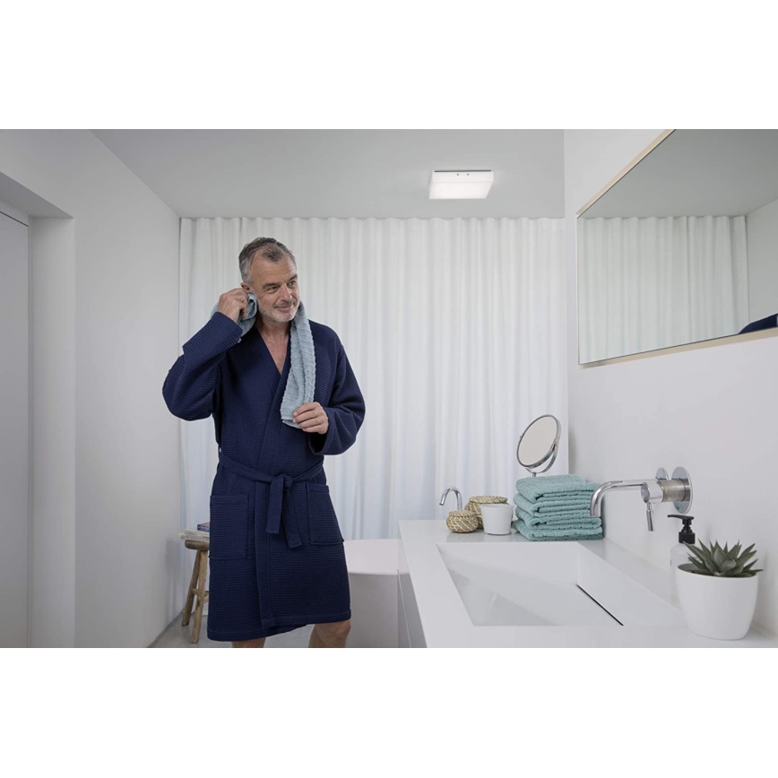 Ledvance - LED Ceiling light LUNIVE LED/19W/230V