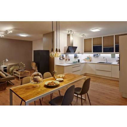 Ledvance - LED Ceiling light LUNIVE LED/24W/230V
