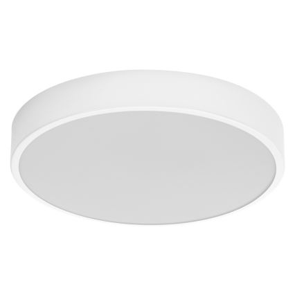 Ledvance - LED Ceiling light ORBIS SLIM LED/20W/230V white