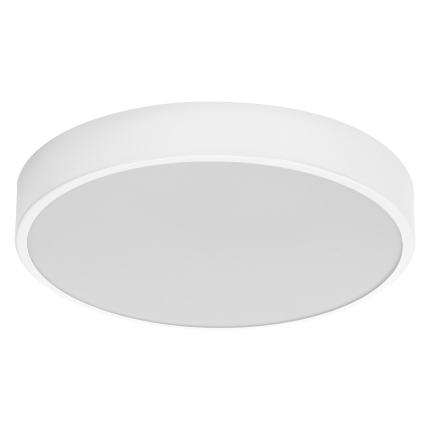 Ledvance - LED Ceiling light ORBIS SLIM LED/20W/230V white