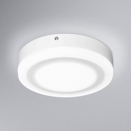 Ledvance - LED Ceiling light ROUND LED/15W/230V d. 20 cm