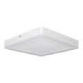 Ledvance - LED Ceiling light SQUARE LED/18W/230V