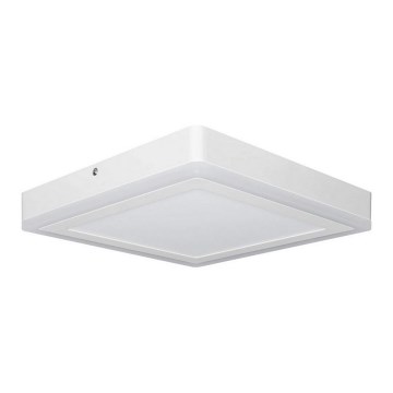 Ledvance - LED Ceiling light SQUARE LED/18W/230V
