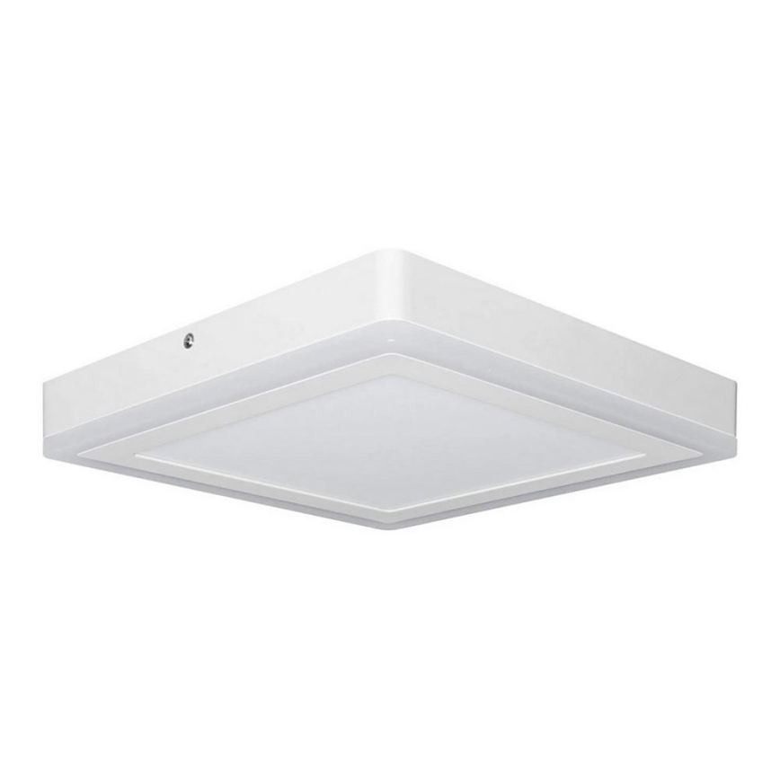 Ledvance - LED Ceiling light SQUARE LED/18W/230V