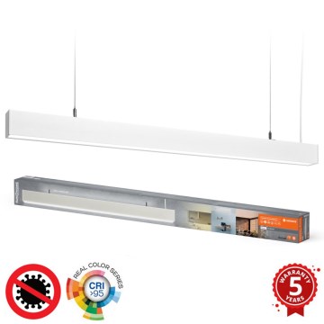 Ledvance - LED Dimmable chandelier on a string SUN@HOME LED/50W/230V 2200-5000K CRI 95 Wi-Fi