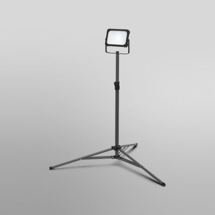 Ledvance - LED Dimmable floodlight with a holder WORKLIGHT TRIPOD LED/20W/3,7V IP54