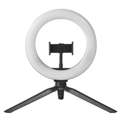 Ledvance - LED Dimmable table lamp with a stand and holder for vlogging LED/5,5W/USB 3000/4000/6500K