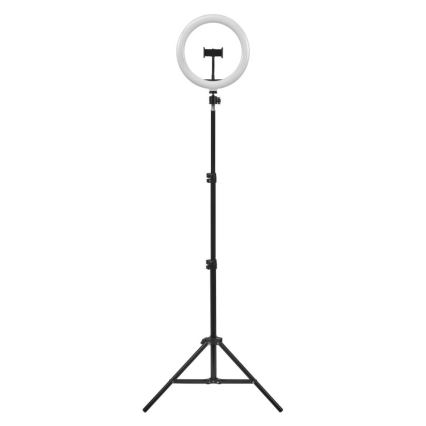 Ledvance - LED Dimmable floor lamp with a stand and holder for vlogging LED/6W/USB 3000/4000/6500K