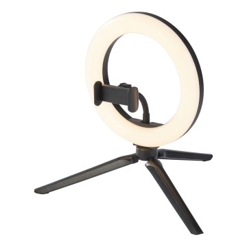 Ledvance - LED Dimmable table lamp with a stand and holder for vlogging LED/5,5W/USB 3000/4000/6500K
